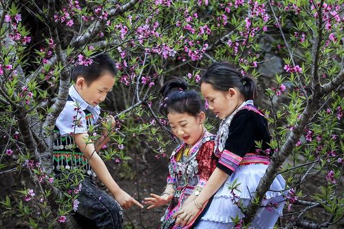 Sắc xuân Ðiện Biên