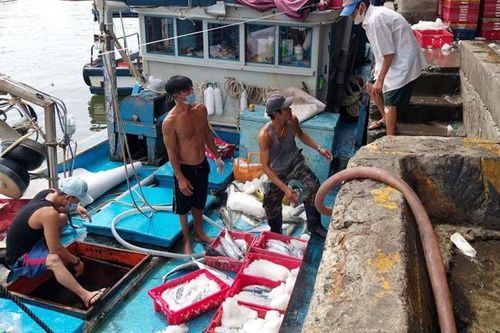 Khánh Hòa: Ngư dân trúng lộc biển đầu năm