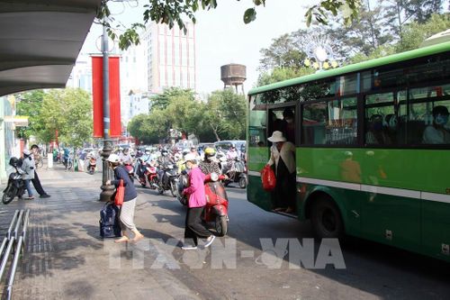Tp. Hồ Chí Minh thí điểm 5 tuyến xe buýt điện trong quý I/2022