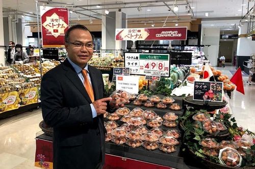 Kiều bào hiến kế đưa nông sản Việt vươn xa