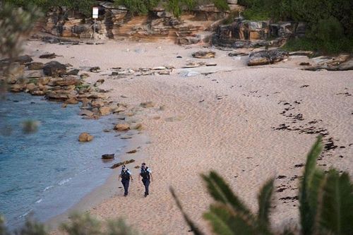 Australia đóng cửa nhiều bãi biển sau vụ cá mập tấn công gây chết người