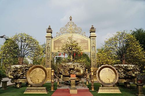 Xôn xao bộ sưu tập 10 cây mai vàng ở miền Tây đạt kỷ lục thế giới
