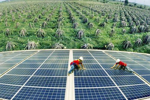 Cần nguồn tài chính 'khổng lồ' để hiện thực hóa tham vọng phát thải ròng bằng '0'