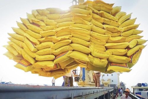 Kiều bào hiến kế để ngành nông nghiệp vươn xa trong chuỗi giá trị toàn cầu
