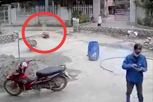 Vụ bắn chết hàng xóm rồi tự sát: Công an nói gì về thông tin cáo buộc 'vô trách nhiệm'?