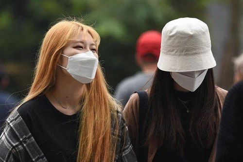Nhiều 'chuyến xe 0 đồng' đưa sinh viên về TP.HCM nhập học