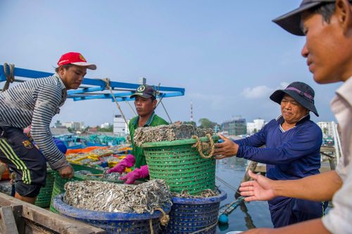 Doanh nghiệp miền Tây mong chính sách giữ chân lao động