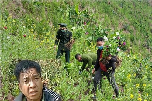 Chủ nương thuốc phiện bị bắt giữ