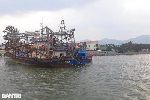 Một chủ nợ nghi bị ném xuống biển mất tích