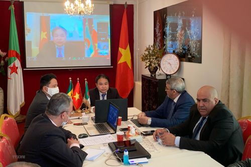 Thúc đẩy cơ hội kinh doanh và đầu tư tại thị trường Algeria