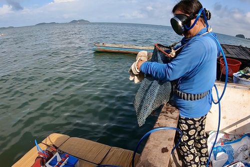 Khi phụ nữ lặn biển