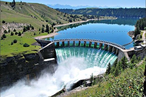 Đập thủy điện và sự sinh tồn của loài cá tuế