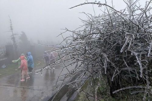 Lạng Sơn: Nhiệt độ xuống -0,4 độ C, băng giá bao phủ đỉnh Mẫu Sơn