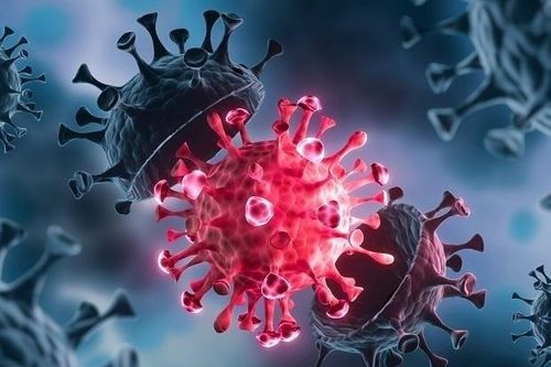 Covid-19: Phát hiện ít nhất ba biến thể lai giữa Delta và Omicron