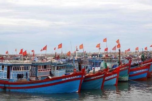 EC sẽ thực địa Việt Nam về vấn đề 'thẻ vàng' IUU