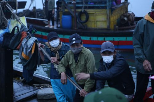 Giá nhiên liệu tăng, ngư dân chưa muốn ra khơi