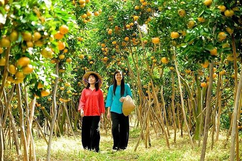 Cần hoàn thiện cơ chế, chính sách gắn phát triển du lịch nông thôn với xây dựng nông thôn mới