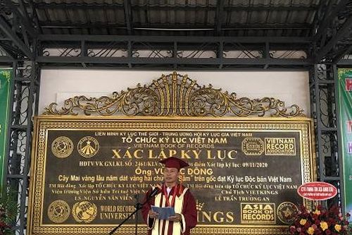 Cây mai vàng hơn trăm tuổi của một doanh nhân miền Tây được xác lập Kỷ lục Thế giới
