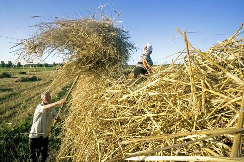Căng thẳng leo thang ở Ukraine khiến chuỗi cung ứng gánh hậu quả