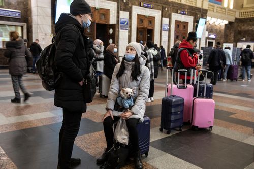 Dân Ukraine đem chó, mèo cưng đi di tản