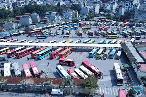 Xăng dầu tăng phi mã, xe khách 'ngủ đông' kín bến