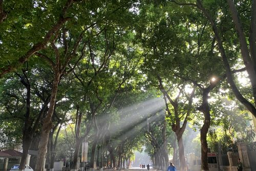 Bắc Bộ hửng nắng, rét đậm, có nơi rét hại