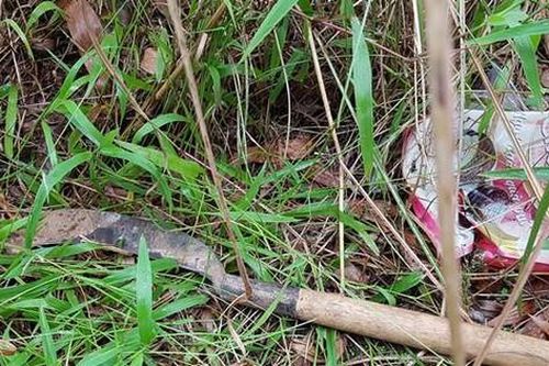 Con trai dùng rựa chém chết bố rồi lẩn trốn