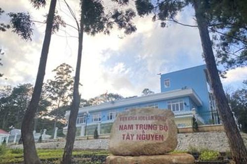 Viện Khoa học lâm nghiệp... để mất hơn 2.000 ha rừng