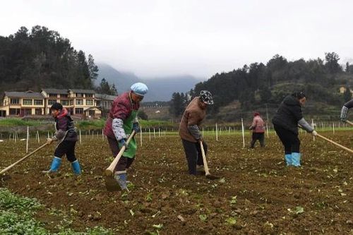 Phát triển nông thôn, bảo vệ đất trồng, an ninh lương thực