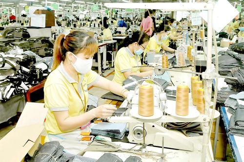Rào cản kỹ thuật 'bủa vây' hàng xuất khẩu