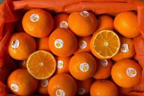 Giữa lúc cam, quýt tăng giá, nhiều loại trái cây sang chảnh rẻ bất ngờ