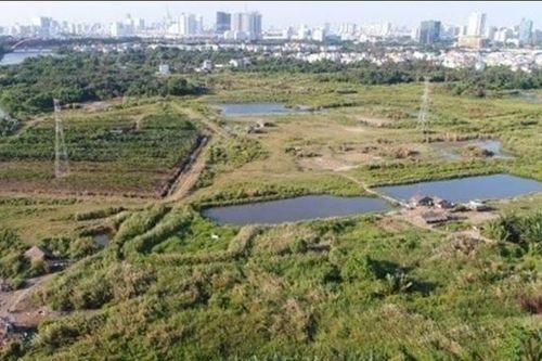 Đề nghị truy thu của Công ty Quốc Cường Gia Lai số tiền 21 tỉ đồng