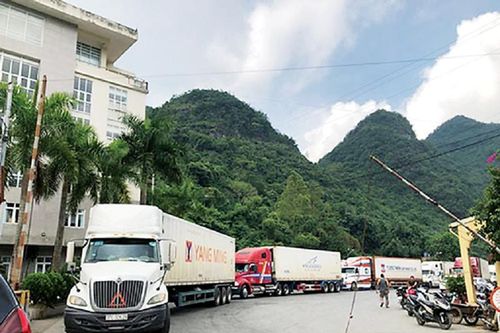 Thiết lập ngay mô hình 'vùng xanh', 'luồng xanh' đẩy nhanh thông quan tại các cửa khẩu