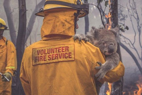 Cháy rừng ở Australia có thể là nguyên nhân khiến tầng ozone suy giảm nghiêm trọng