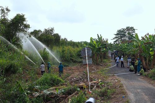 Chớm mùa khô, Cà Mau cảnh báo cháy rừng ngập ngọt
