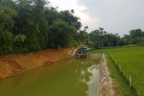 Có hay không việc Công an huyện Hàm Yên thiếu sót trong quá trình điều tra vụ tử vong khi lắp đặt thiết bị camera?