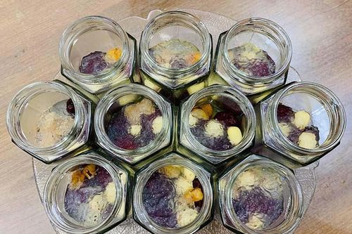 110 nghìn F0, món ăn tẩm bổ 'quý tộc' 45 triệu/kg đắt khách chưa từng có