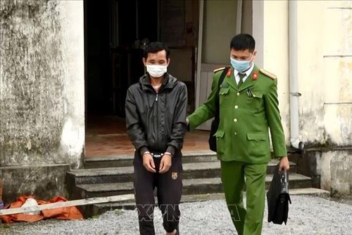 Bắt giữ nghi phạm giết người rồi bỏ trốn vào rừng