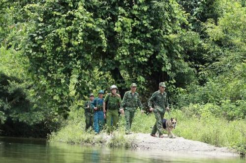 Đấu tranh hiệu quả với tội phạm ma túy trên tuyến biên giới