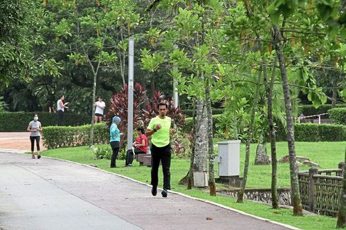 Không gian trị liệu của người Malaysia trong đại dịch Covid-19