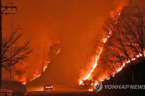 Cháy rừng dữ dội gần nhà máy điện hạt nhân của Hàn Quốc, 6.000 người tháo chạy khỏi nơi ở