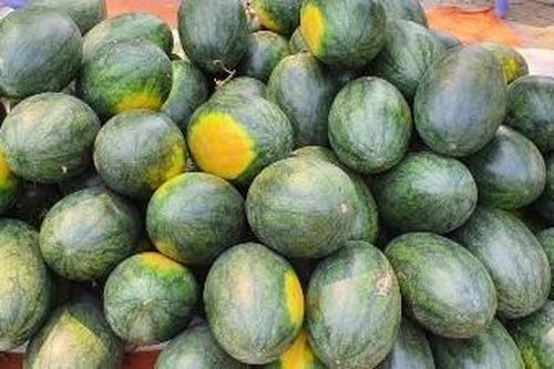 Dưa hấu, thanh long rớt giá mạnh do 'tắc biên' xuất khẩu sang Trung Quốc