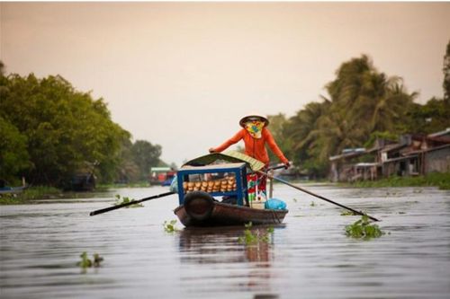 Chính phủ phê duyệt quy hoạch vùng Đồng bằng Sông Cửu Long