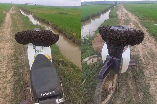 Để xe giữa đồng bị 'kẻ lạ chiếm', cầu cứu dân mạng thì được hiến kế càng tức hơn