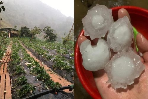 Sơn La: Hàng loạt nhà dân bị thủng mái sau trận mưa đá 'to như quả trứng'