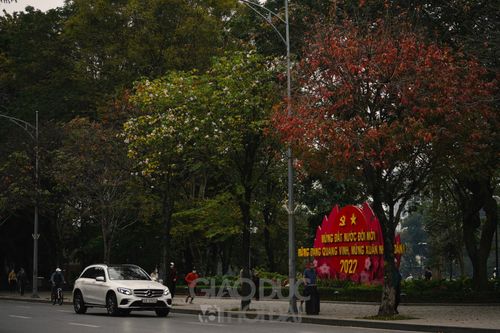 Hà Nội đẹp nao lòng mùa thay lá tháng 3