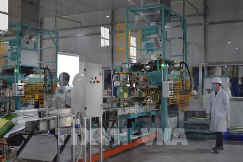 Chuyển đổi số cho chuỗi giá trị sản xuất nông nghiệp