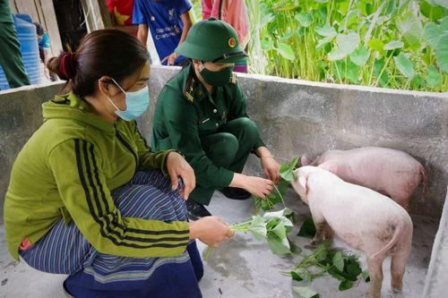 Tấm lòng của những người phụ nữ mang trên vai quân hàm xanh