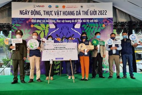 Khôi phục các loài động, thực vật hoang dã để hồi phục hệ sinh thái