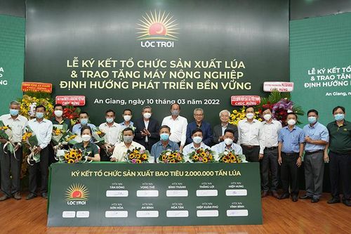 Ký kết sản xuất 2 triệu tấn lúa với nông dân tỉnh An Giang